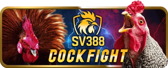 Tổng quan điều khoản dịch vụ J88BET